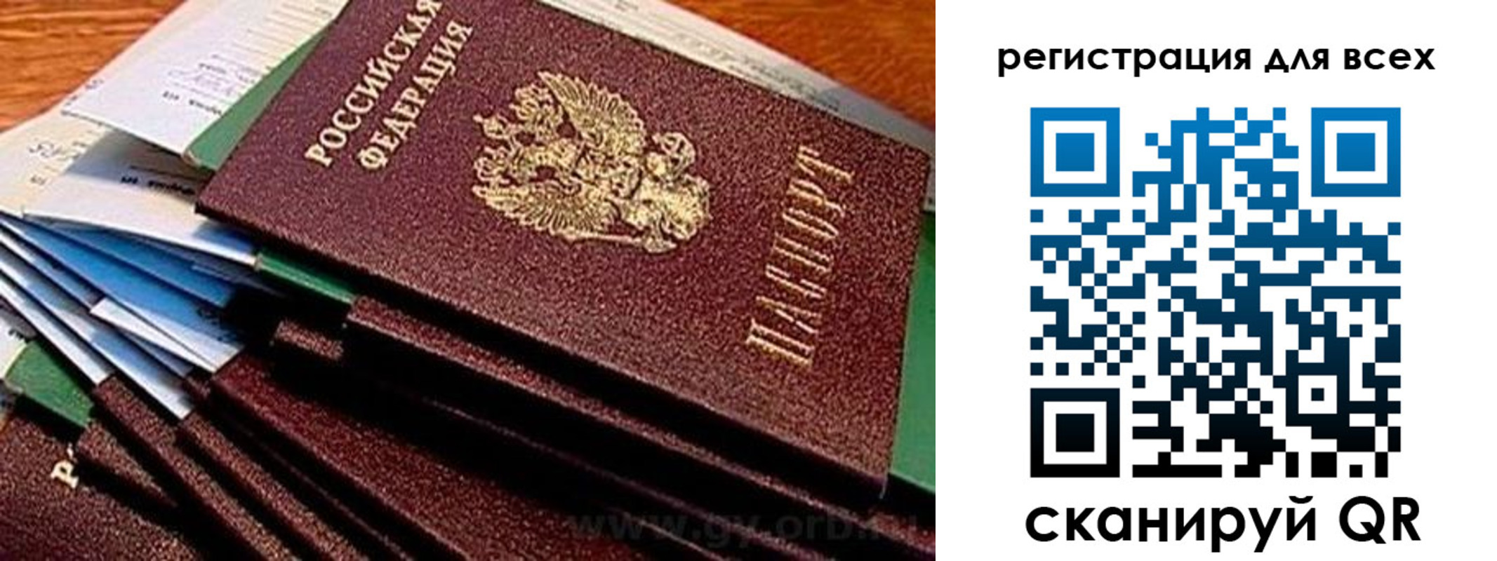 временная регистрация надежно в Архангельской области